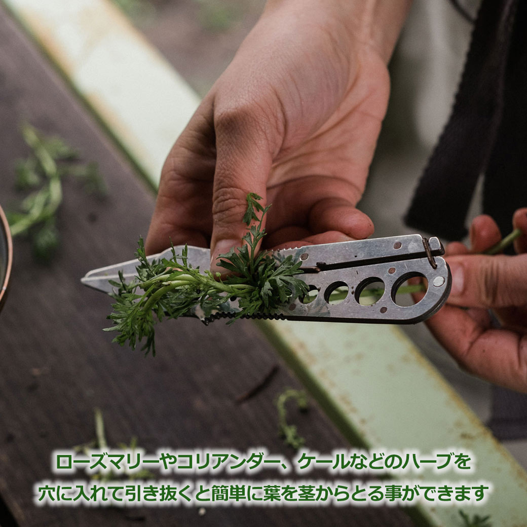 �ϡ��� ���� ���� �ϥ��� ���ȥ�å� ���ȥ�åѡ� 8�� �ġ��� �� Ŧ�� Ŧ���� Ŧ�߼�� ��ñ ƻ�� �٥��ܡ��� ����֥� �ϡ��٥��� �����ǥ˥� ��� �� ��ʪ ������ 