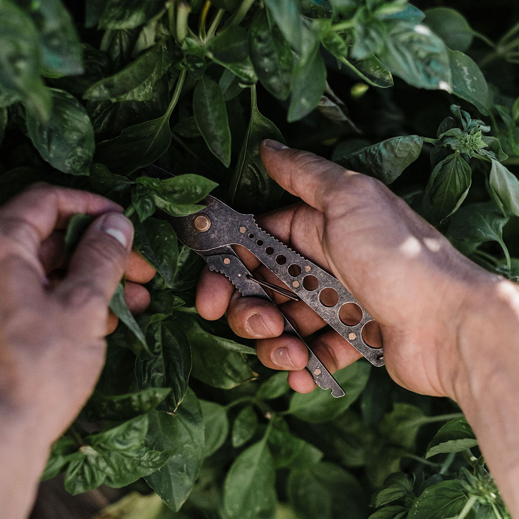 �ϡ��� ���� ���� �ϥ��� ���ȥ�å� ���ȥ�åѡ� 8�� �ġ��� �� Ŧ�� Ŧ���� Ŧ�߼�� ��ñ ƻ�� �٥��ܡ��� ����֥� �ϡ��٥��� �����ǥ˥� ��� �� ��ʪ ������ 