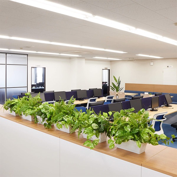 �ե��������꡼�� ���տ�ʪ �͹����տ�ʪ ¤�� ��� �����󥿡� �ѡ��ơ������ ��������ݥȥ� ���ޥ��� �ߥꥪ�� Low 3�ĥ��å� ������� PRGR-1418 GREENPARK ����̵�� 