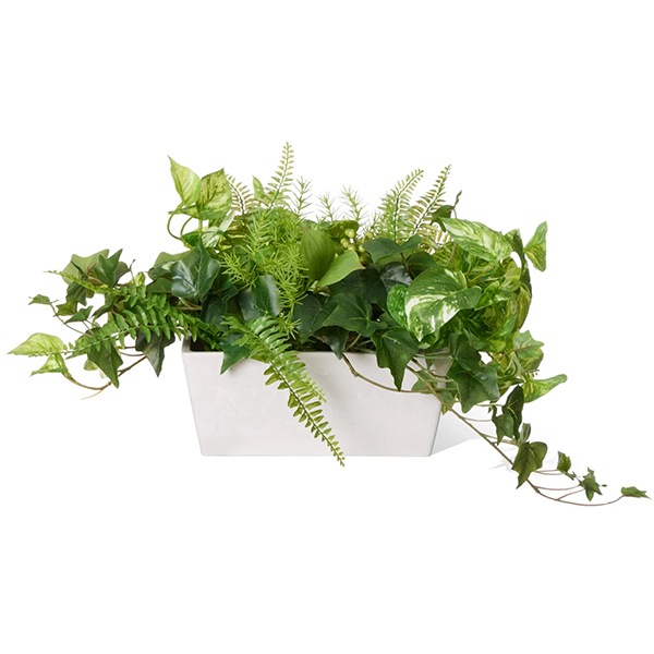 �ե��������꡼�� ���տ�ʪ �͹����տ�ʪ ¤�� ��� �����󥿡� �ѡ��ơ������ ��������ݥȥ� ���ޥ��� �ߥꥪ�� Low 3�ĥ��å� ������� PRGR-1418 GREENPARK ����̵�� 