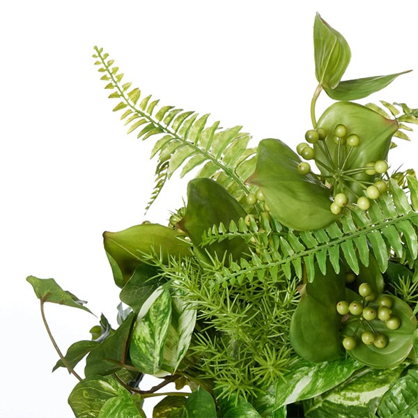 �ե��������꡼�� ���տ�ʪ �͹����տ�ʪ ¤�� ��� �����󥿡� �ѡ��ơ������ ��������ݥȥ� ���ޥ��� �ߥꥪ�� Low 3�ĥ��å� ������� PRGR-1418 GREENPARK ����̵�� 