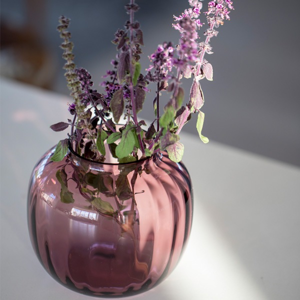  ե ١  ۥ६ ̲ 饹 HOLME GAARD ץ PRIMULA ١ H12.5cm Ʃ ץ ⡼ 졼 ե ƥꥢ  åԥб 