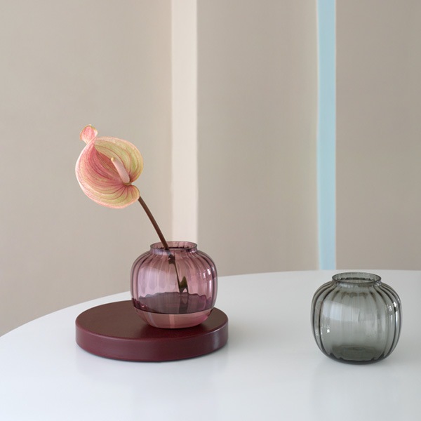  ե ١  ۥ६ ̲ 饹 HOLME GAARD ץ PRIMULA ١ H12.5cm Ʃ ץ ⡼ 졼 ե ƥꥢ  åԥб 