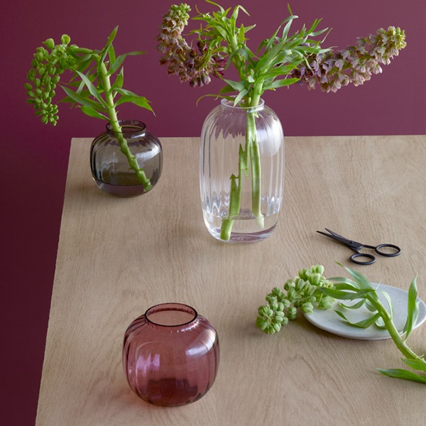  ե ١  ۥ६ ̲ 饹 HOLME GAARD ץ PRIMULA ١ H12.5cm Ʃ ץ ⡼ 졼 ե ƥꥢ  åԥб 