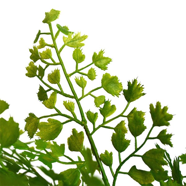 �ե��������꡼�� ���տ�ʪ �͹����տ�ʪ ¤�� ��� �������󥿥� ������� ���꡼��ѡ��� ������������������ �� ��ʪ ����ƥꥢ GREENPARK PRGR-1135 ����̵�� 