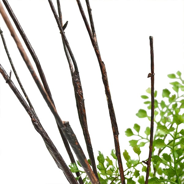 �ե��������꡼�� ���տ�ʪ �͹����տ�ʪ ¤�� ��� �������󥿥� ������� ���꡼��ѡ��� ������������������ �� ��ʪ ����ƥꥢ GREENPARK PRGR-1135 ����̵�� 