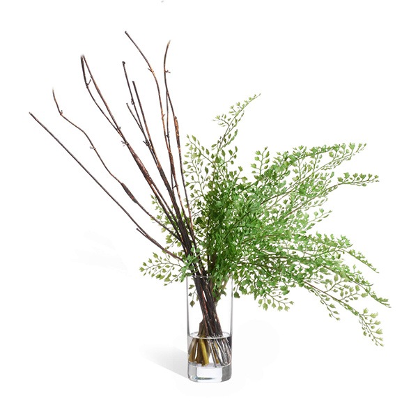 �ե��������꡼�� ���տ�ʪ �͹����տ�ʪ ¤�� ��� �������󥿥� ������� ���꡼��ѡ��� ������������������ �� ��ʪ ����ƥꥢ GREENPARK PRGR-1135 ����̵�� 