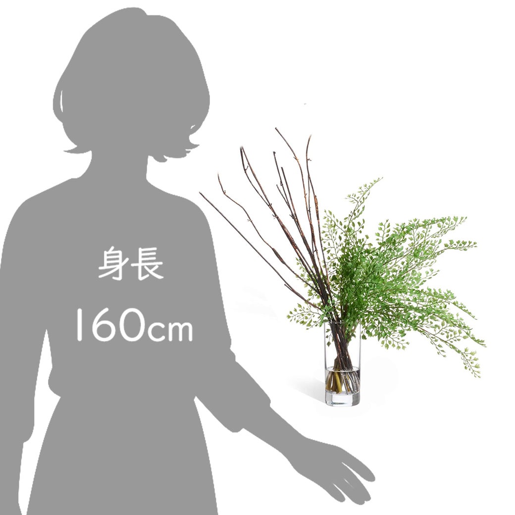 �ե��������꡼�� ���տ�ʪ �͹����տ�ʪ ¤�� ��� �������󥿥� ������� ���꡼��ѡ��� ������������������ �� ��ʪ ����ƥꥢ GREENPARK PRGR-1135 ����̵�� 