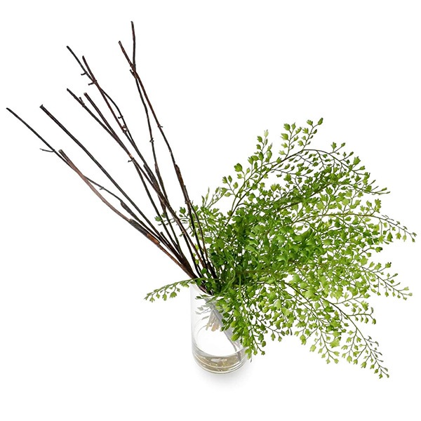 �ե��������꡼�� ���տ�ʪ �͹����տ�ʪ ¤�� ��� �������󥿥� ������� ���꡼��ѡ��� ������������������ �� ��ʪ ����ƥꥢ GREENPARK PRGR-1135 ����̵�� 