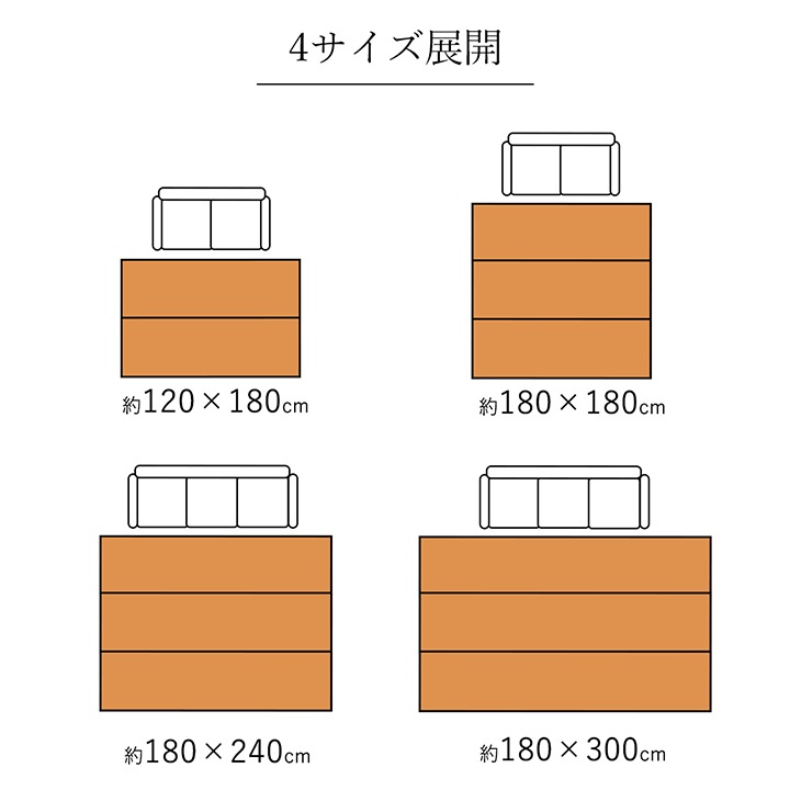 �Х�֡� �饰 �����ڥå� CXH�ץ졼�� 180��180cm ������ �ߤ�ʪ ���� �� ΢���դ� ���� �ɽ� �䴶 �Ҥ��� �� ��Ŭ ����ˤ��� ����ѥ��� �����ҥ� ikehiko ����̵�� 