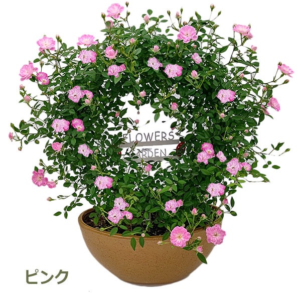 ����� �ץ쥼��� ���ե� ͽ�� ȭ���� �󤻿��� ���� �� �ե� �Ĥ� �Х� �� ������ �ĥ� �ԥ� ��å� ���� ���� ���� �İ��� �֥�å� �����Х�ȭ No.12 ����̵�� 