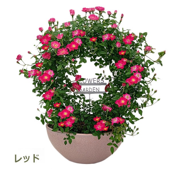 ����� �ץ쥼��� ���ե� ͽ�� ȭ���� �󤻿��� ���� �� �ե� �Ĥ� �Х� �� ������ �ĥ� �ԥ� ��å� ���� ���� ���� �İ��� �֥�å� �����Х�ȭ No.12 ����̵�� 