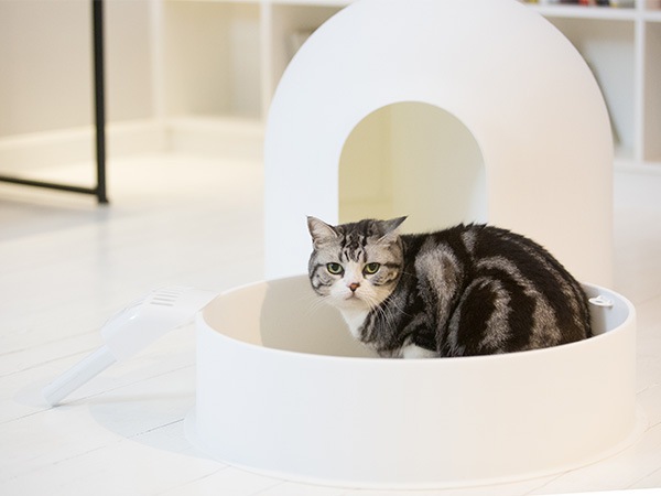 イグルー のような 猫用 トイレ Pidan Igloo Cat Litter Box ピダン 氷雪ハウス スノーホワイト 抗菌 消臭 カバー おしゃれ 猫雑貨 猫用品 Viewgarden