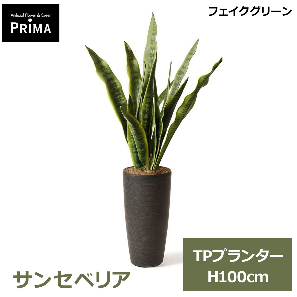 �ե��������꡼�� �͹����տ�ʪ ���å� ���󥻥٥ꥢ ¤�� H100cm ����ƥꥢ���꡼�� ȭ�� ���տ�ʪ ȭ���å� ������� �������� ��ʪ PRGR-1777 GREENPARK ����̵�� 