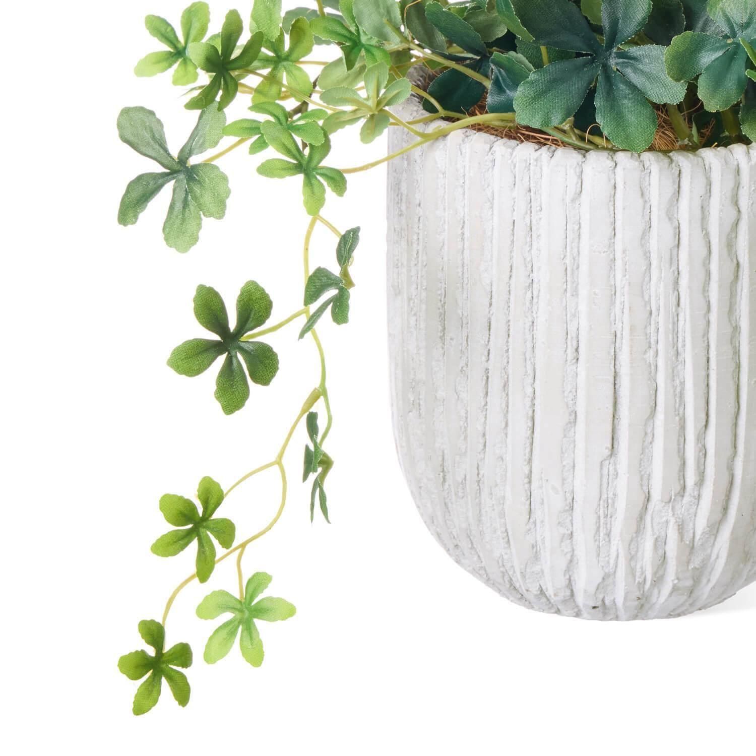 �ե��������꡼�� ���տ�ʪ �͹����տ�ʪ ¤�� ��� ���꡼�� ���奬���Х��� ���٥ꥹ�ݥå� S �Ĥ�����ʪ �ơ��֥륰�꡼�� ��ʪ �͵� PRGR-1586 GREENPARK ����̵�� 