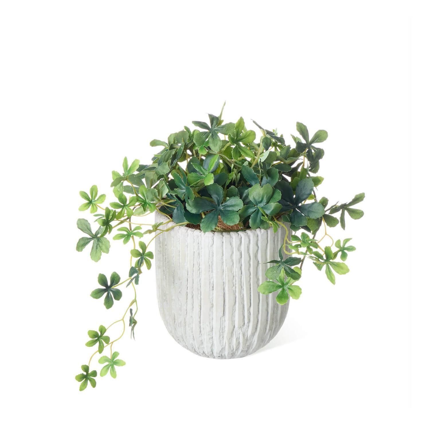 �ե��������꡼�� ���տ�ʪ �͹����տ�ʪ ¤�� ��� ���꡼�� ���奬���Х��� ���٥ꥹ�ݥå� S �Ĥ�����ʪ �ơ��֥륰�꡼�� ��ʪ �͵� PRGR-1586 GREENPARK ����̵�� 