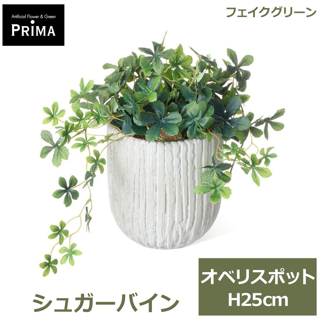 �ե��������꡼�� ���տ�ʪ �͹����տ�ʪ ¤�� ��� ���꡼�� ���奬���Х��� ���٥ꥹ�ݥå� S �Ĥ�����ʪ �ơ��֥륰�꡼�� ��ʪ �͵� PRGR-1586 GREENPARK ����̵�� 