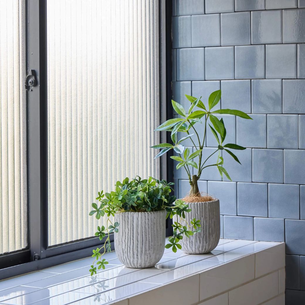 �ե��������꡼�� ���տ�ʪ �͹����տ�ʪ ¤�� ��� ���꡼�� ���奬���Х��� ���٥ꥹ�ݥå� S �Ĥ�����ʪ �ơ��֥륰�꡼�� ��ʪ �͵� PRGR-1586 GREENPARK ����̵�� 