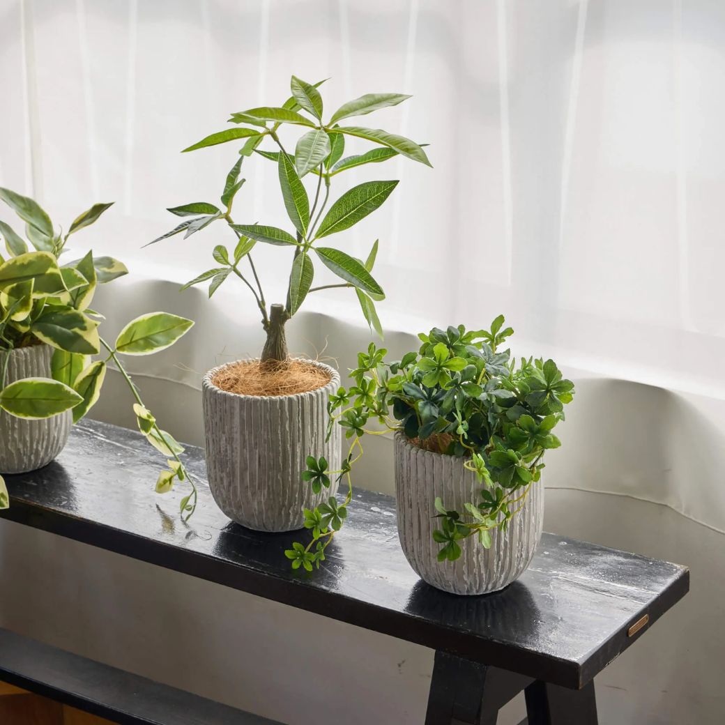 �ե��������꡼�� ���տ�ʪ �͹����տ�ʪ ¤�� ��� ���꡼�� ���奬���Х��� ���٥ꥹ�ݥå� S �Ĥ�����ʪ �ơ��֥륰�꡼�� ��ʪ �͵� PRGR-1586 GREENPARK ����̵�� 