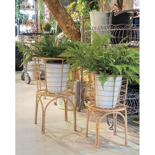 �ץ�󥿡� ����ȭ ������� �ե�������� �ץ�󥿡�������� �����ǥ˥� ���� ���� ȭ������� �ե����� �饿�󥢥����󥹥���� L 7504 L ¼�Ĳ����� ����̵�� 