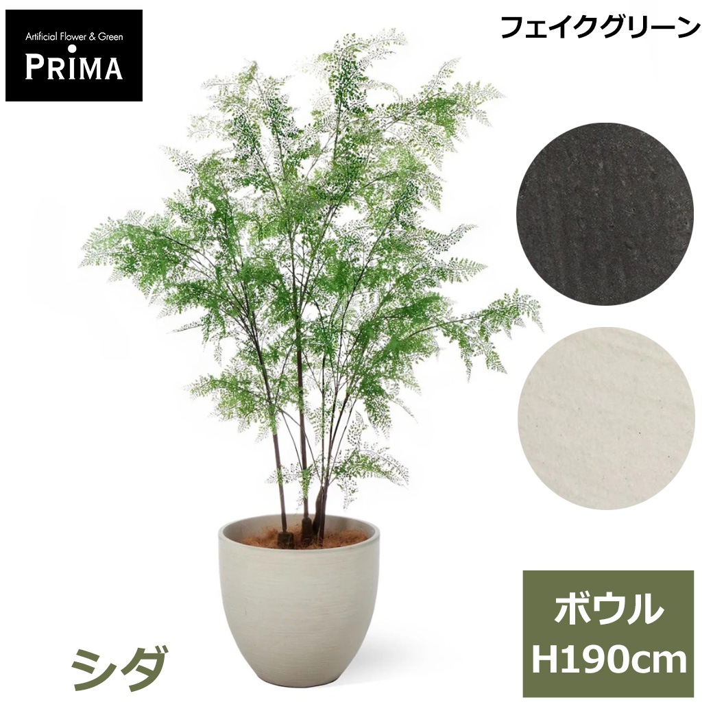 ���� �ե��������꡼�� �緿 �͹����տ�ʪ ¤�� ����ƥꥢ���꡼�� �ץ�󥿡��դ� H190cm ���տ�ʪ �������� ������� ����ܥ�ĥ꡼ PRGR-1549 GREENPARK ����̵�� 