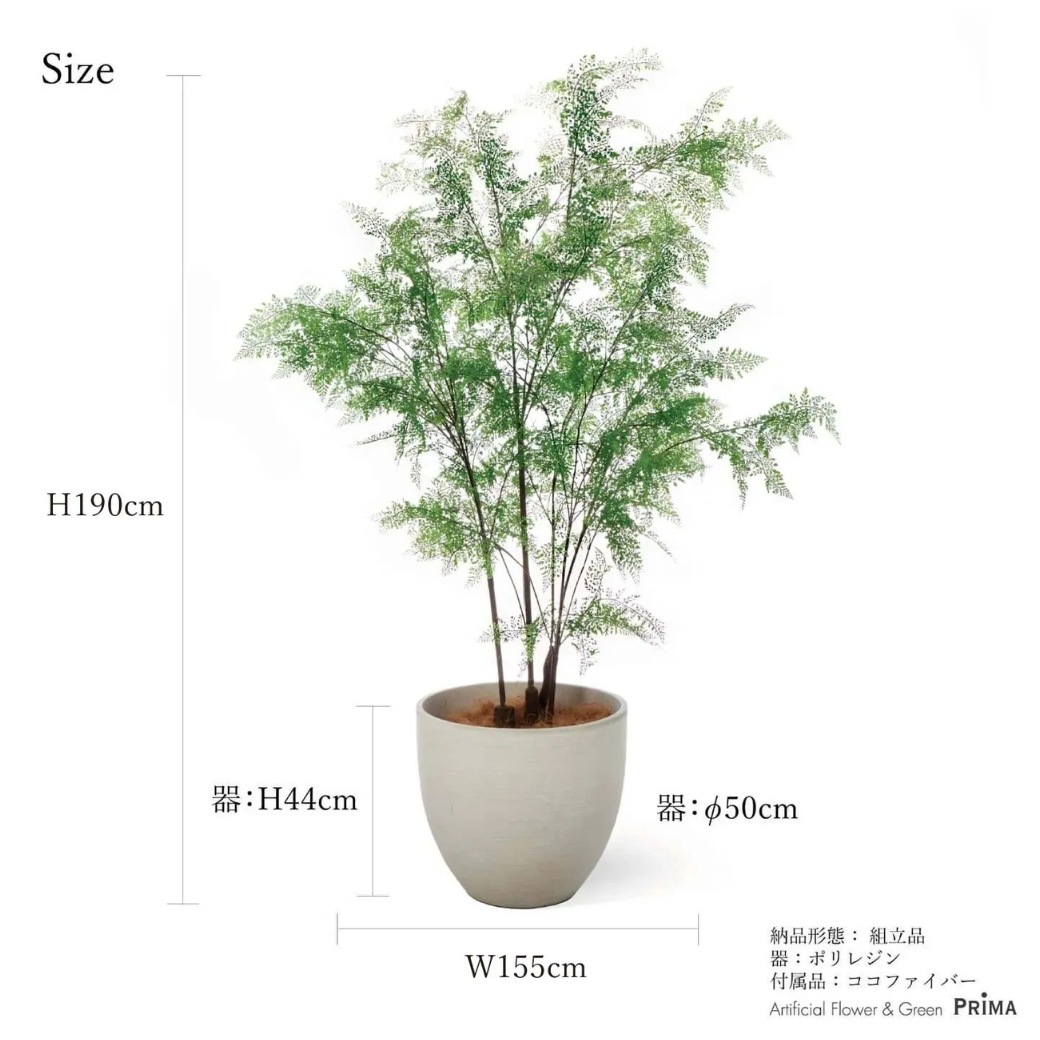 ���� �ե��������꡼�� �緿 �͹����տ�ʪ ¤�� ����ƥꥢ���꡼�� �ץ�󥿡��դ� H190cm ���տ�ʪ �������� ������� ����ܥ�ĥ꡼ PRGR-1549 GREENPARK ����̵�� 