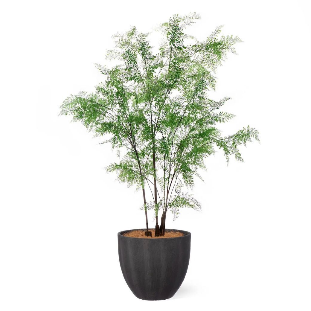 ���� �ե��������꡼�� �緿 �͹����տ�ʪ ¤�� ����ƥꥢ���꡼�� �ץ�󥿡��դ� H190cm ���տ�ʪ �������� ������� ����ܥ�ĥ꡼ PRGR-1549 GREENPARK ����̵�� 