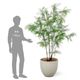 ���� �ե��������꡼�� �緿 �͹����տ�ʪ ¤�� ����ƥꥢ���꡼�� �ץ�󥿡��դ� H190cm ���տ�ʪ �������� ������� ����ܥ�ĥ꡼ PRGR-1549 GREENPARK ����̵�� 