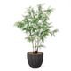 ���� �ե��������꡼�� �緿 �͹����տ�ʪ ¤�� ����ƥꥢ���꡼�� �ץ�󥿡��դ� H190cm ���տ�ʪ �������� ������� ����ܥ�ĥ꡼ PRGR-1549 GREENPARK ����̵�� 