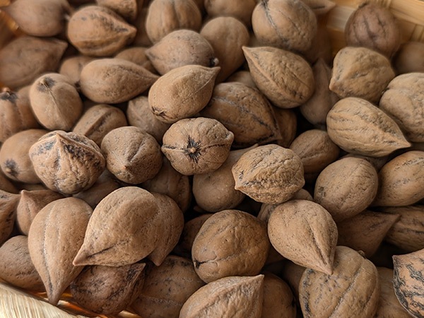 �� ����� �� ���դ� 700g ɱ���� �ҥᥰ��� ���� �᡼���� �б� ��긩�� �� �ʥå� ̵�� ̵ź�� ���ե� �� ��̣���� �ȥåԥ� �²ۻ� �ڥå� �� ��ưʪ �᡼��������̵�� 