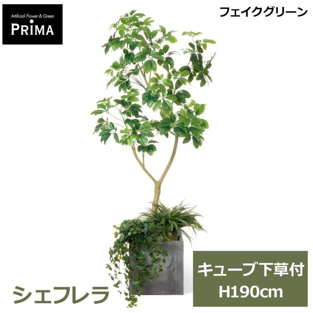 �ե��������꡼�� �͹����տ�ʪ �緿 ���å� �����ե�� ���塼�� ������ ¤�� H190cm ����ƥꥢ���꡼�� ȭ�դ� ȭ���å� ���տ�ʪ �͵� PRGR-1812UB GREENPARK ����̵�� 
