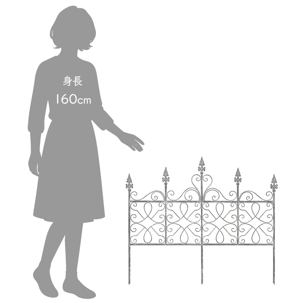 ꡼ե  ѻ ݻ ȥꥹ ǥ˥ ե ӡե 졼 ¼Ĳ 6079   ǥե  ̵ 