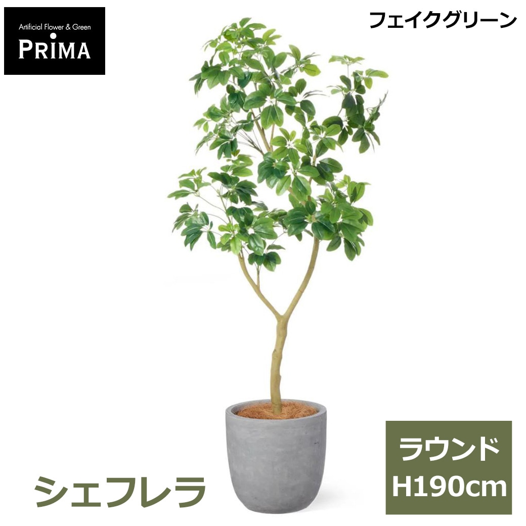�ե��������꡼�� �͹����տ�ʪ �緿 ���å� �����ե�� �饦��� ¤�� H190cm ����ƥꥢ���꡼�� ȭ�դ� ȭ���å� ���տ�ʪ �͵� ������� PRGR-1813 GREENPARK ����̵�� 