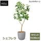 �ե��������꡼�� �͹����տ�ʪ �緿 ���å� �����ե�� �饦��� ¤�� H190cm ����ƥꥢ���꡼�� ȭ�դ� ȭ���å� ���տ�ʪ �͵� ������� PRGR-1813 GREENPARK ����̵�� 
