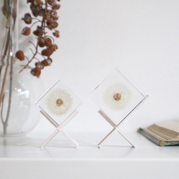 ����ݥ� 5cm Sola cube �� ���饭�塼�� �������Υͥɥ� Ω��ɸ�� Ʃ�� ��ʪ ������� ����ƥꥢ ��ʪ ���ꥢ �ץ쥼��� ���ե� Ȣ �� ���꡼�� �ץ��� ���� �޴� �İ��� ��ΤҤ� ���쥤 Ȣ ������� ���ե� Ʃ���� ����̵�� ��åԥ��б� 