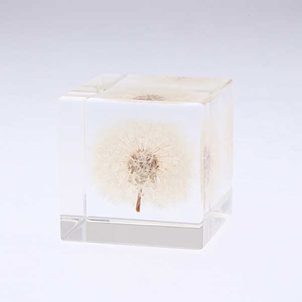 ����ݥ� 5cm Sola cube �� ���饭�塼�� �������Υͥɥ� Ω��ɸ�� Ʃ�� ��ʪ ������� ����ƥꥢ ��ʪ ���ꥢ �ץ쥼��� ���ե� Ȣ �� ���꡼�� �ץ��� ���� �޴� �İ��� ��ΤҤ� ���쥤 Ȣ ������� ���ե� Ʃ���� ����̵�� ��åԥ��б� 