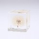 ����ݥ� 5cm Sola cube �� ���饭�塼�� �������Υͥɥ� Ω��ɸ�� Ʃ�� ��ʪ ������� ����ƥꥢ ��ʪ ���ꥢ �ץ쥼��� ���ե� Ȣ �� ���꡼�� �ץ��� ���� �޴� �İ��� ��ΤҤ� ���쥤 Ȣ ������� ���ե� Ʃ���� ����̵�� ��åԥ��б� 