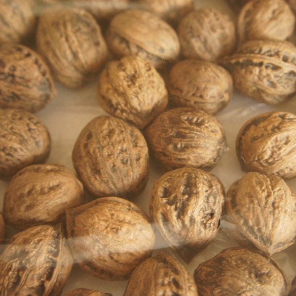 �¤���� �� ���դ� 2kg ������ ���˥���� ���� �᡼���� �б� ��긩�� �� �ʥå� ̵�� ̵ź�� ���ե� �� ��̣���� �ȥåԥ� �²ۻ� �����ٱ� ����̵�� 