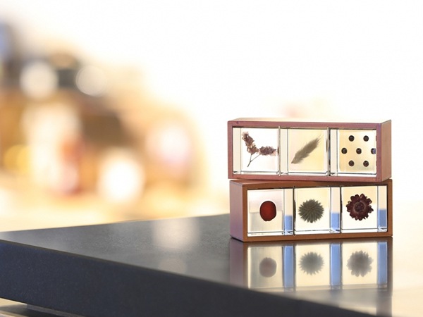 �Х� 4cm Sola cube �� ���饭�塼�� �������Υͥɥ� �� ������ �� �� ����ƥꥢ �ץ쥼��� ���ե� �ˤ� ���ꥢ Ʃ�� ������� Ω��ɸ�� ����� ������ ��ʪ ���֥��� ����� ����̵�� ��åԥ��б� 