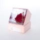 �Х� 4cm Sola cube �� ���饭�塼�� �������Υͥɥ� �� ������ �� �� ����ƥꥢ �ץ쥼��� ���ե� �ˤ� ���ꥢ Ʃ�� ������� Ω��ɸ�� ����� ������ ��ʪ ���֥��� ����� ����̵�� ��åԥ��б� 