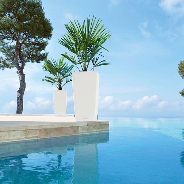 ����ȭ �ץ�󥿡� ������� �����ǥ˥󥰻��� ȭ ����塼�� �����Υߡ� ����� 40 �Ѹ��� UV�ù� ���ʼ� ���� ����ץ� ����� �ץ饹���å� COLUMN LE-8040 ����̵�� 