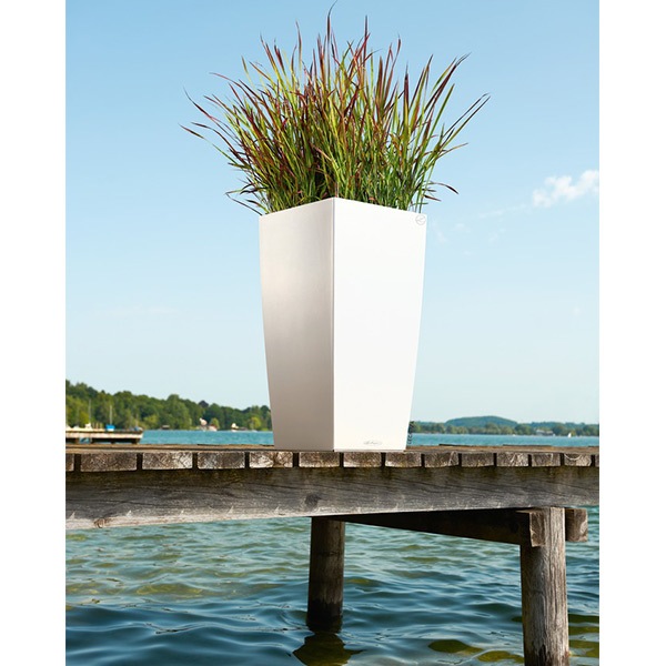 ����ȭ �ץ�󥿡� ������� �����ǥ˥󥰻��� ȭ ����塼�� �����Υߡ� ����� 40 �Ѹ��� UV�ù� ���ʼ� ���� ����ץ� ����� �ץ饹���å� COLUMN LE-8040 ����̵�� 