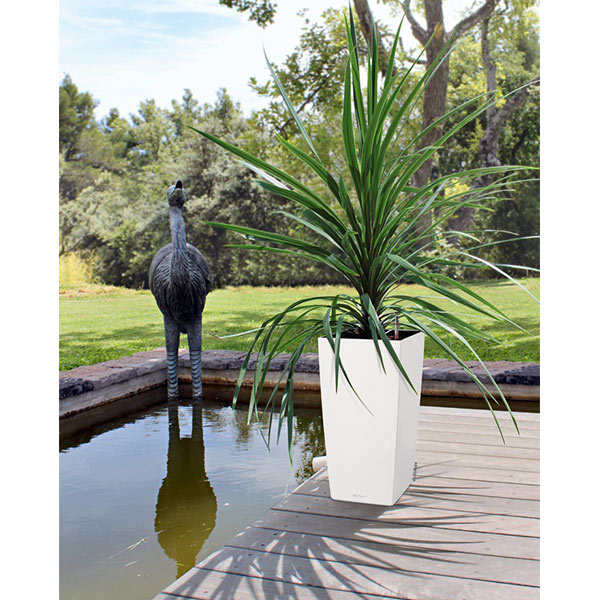 ����ȭ �ץ�󥿡� ������� �����ǥ˥󥰻��� ȭ ����塼�� �����Υߡ� ����� 40 �Ѹ��� UV�ù� ���ʼ� ���� ����ץ� ����� �ץ饹���å� COLUMN LE-8040 ����̵�� 