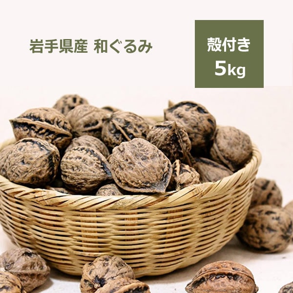 北の蝦夷　鬼胡桃　クルミ　1 メートル５０センチ　大小セット 北の蝦夷 鬼胡桃 クルミ 1 メートル50センチ 大小セット