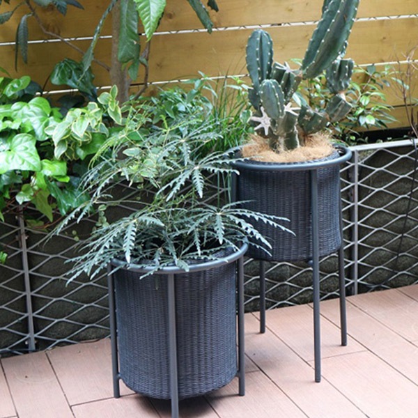 �ץ�󥿡� ������� ������� ���� ���� �͹� �饿�� �֥�å� �� 8�� �������� �Х� ��� ��ʪ �� ���� ȭ �ե� ���� PATIO PETITE �ѥƥ��� �ץƥ����� ����̵�� 