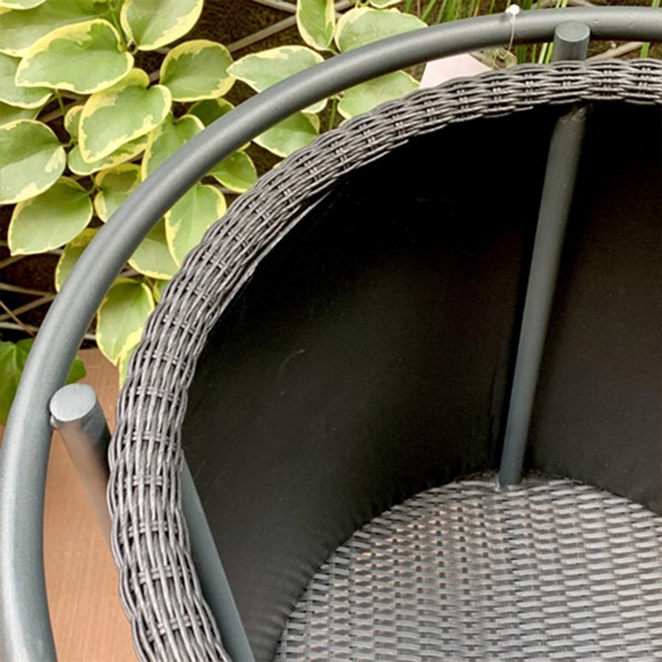 �ץ�󥿡� ������� ������� ���� ���� �͹� �饿�� �֥�å� �� 8�� �������� �Х� ��� ��ʪ �� ���� ȭ �ե� ���� PATIO PETITE �ѥƥ��� �ץƥ����� ����̵�� 