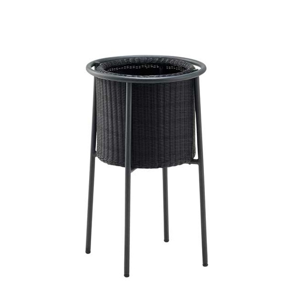 �ץ�󥿡� ������� ������� ���� ���� �͹� �饿�� �֥�å� �� 8�� �������� �Х� ��� ��ʪ �� ���� ȭ �ե� ���� PATIO PETITE �ѥƥ��� �ץƥ����� ����̵�� 