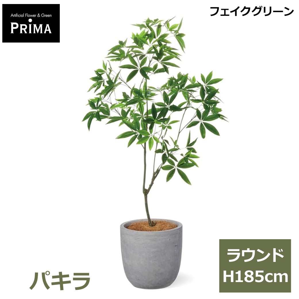 �ѥ��� ȯ��� money tree �ե��������꡼�� �緿 �͹����տ�ʪ ¤�� ����ƥꥢ���꡼�� �ץ�󥿡��դ� H185cm ���տ�ʪ �������� ��ʪ PRGR-1602 GREENPARK ����̵�� 
