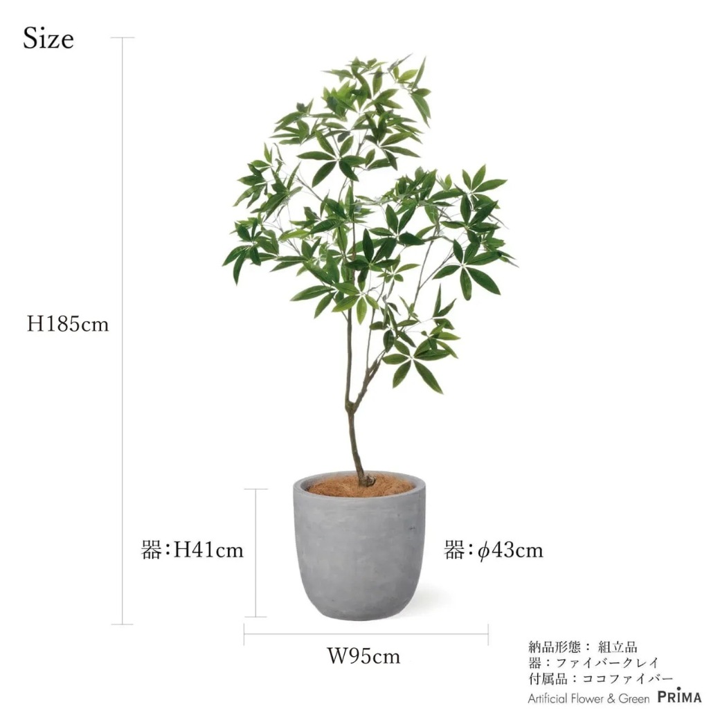 �ѥ��� ȯ��� money tree �ե��������꡼�� �緿 �͹����տ�ʪ ¤�� ����ƥꥢ���꡼�� �ץ�󥿡��դ� H185cm ���տ�ʪ �������� ��ʪ PRGR-1602 GREENPARK ����̵�� 