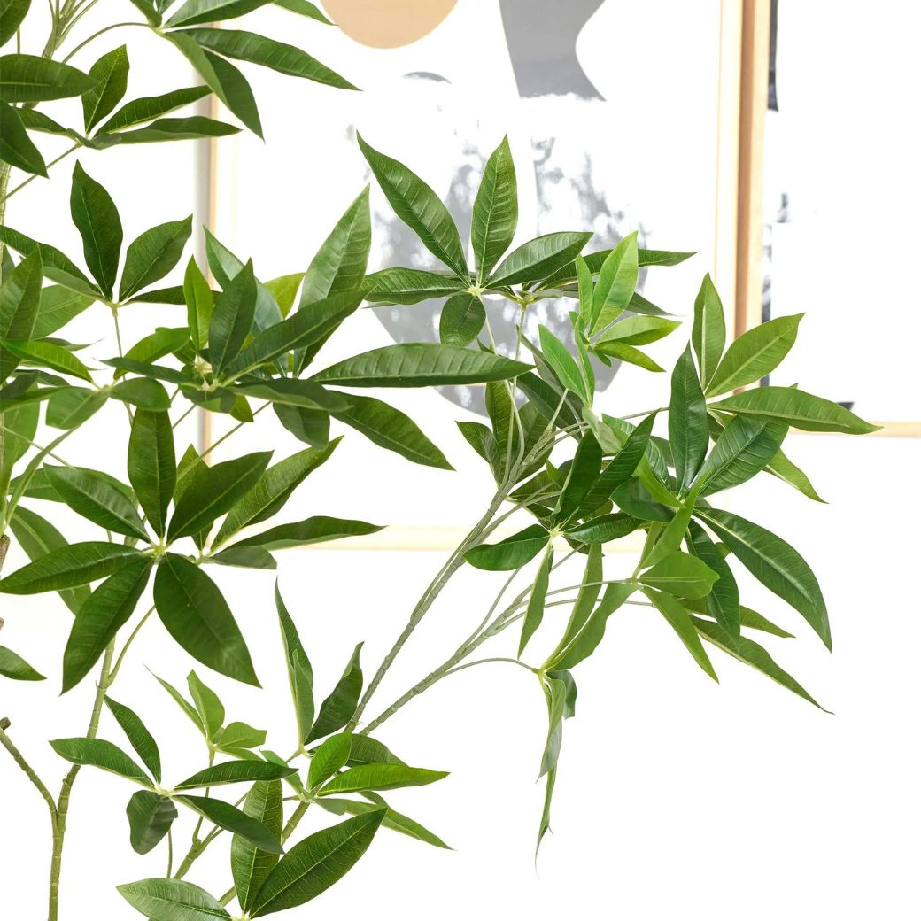 �ѥ��� ȯ��� money tree �ե��������꡼�� �緿 �͹����տ�ʪ ¤�� ����ƥꥢ���꡼�� �ץ�󥿡��դ� H185cm ���տ�ʪ �������� ��ʪ PRGR-1602 GREENPARK ����̵�� 